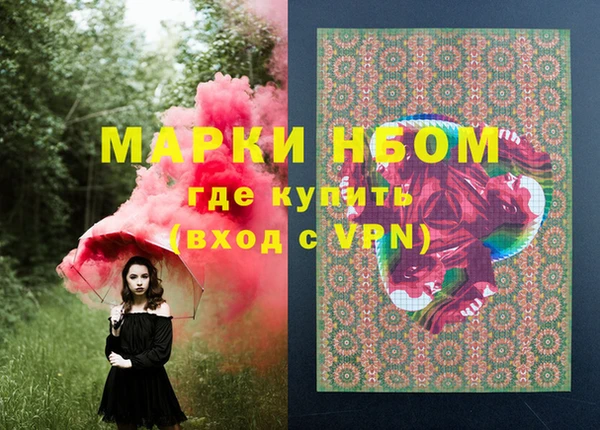 амф Елизово