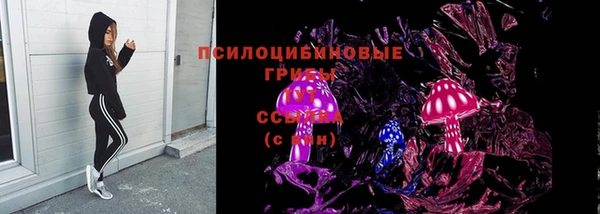 твердый Елабуга